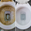 Desincrustante ácido bowl cleanse spartan 1L