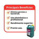 Desinfetante Girassol 5L - Floral