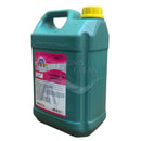 Desinfetante Girassol 5L - Floral